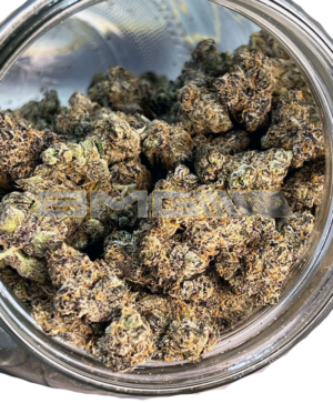 Blueberry Haupia Pie