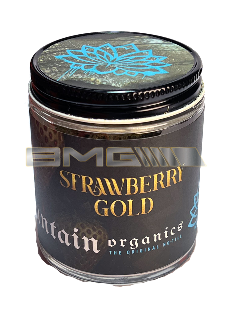 Strawberry Gold
