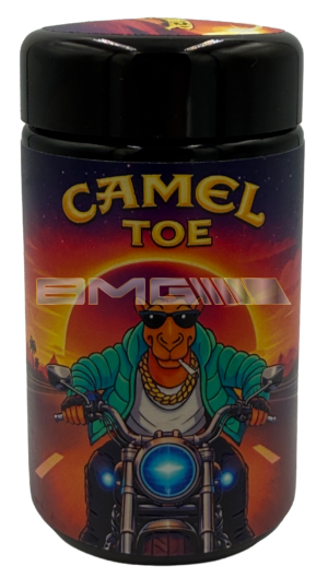 Camel Toe